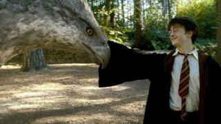 Harry Potter y un hipogrifo