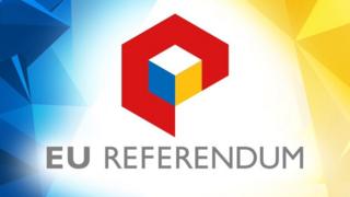 EU referendum