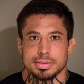 MMA fighter Jonathan Paul Koppenhaver (15 August 2014)