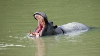 Dorinar ruwa a Niger