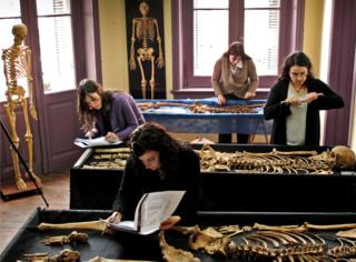 Mujeres revisan varios esqueletos en medio de un laboratorio.