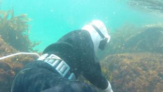 Female diver in the water in Mie, Japan