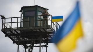 Украина, гражданство, Госдума