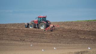 Tractor