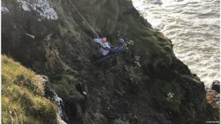 rescue