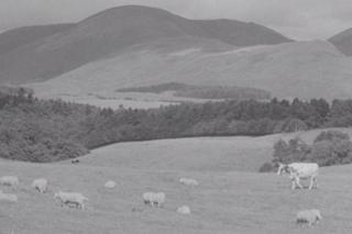 Archive film image