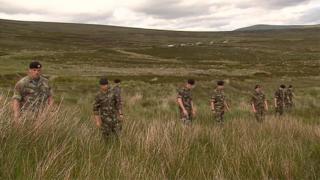 Irish Defence Forces