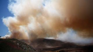 Huge plume of smoke seen over charred earth
