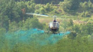 Helicopter spraying food dye