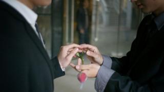 同性婚姻示意图