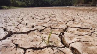 Dried lake bed, US (Image: AP)