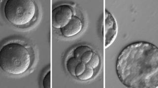 Genes alterados