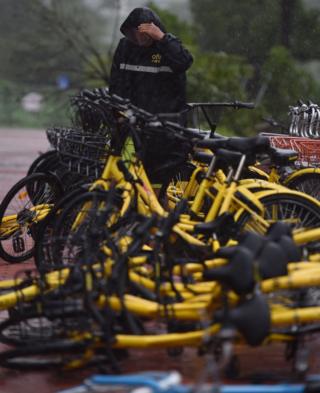 深圳街頭一名共享單車運維人員冒著颱風整理自行車(新華社圖片27/8/2017)