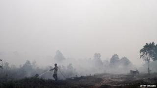deforestation