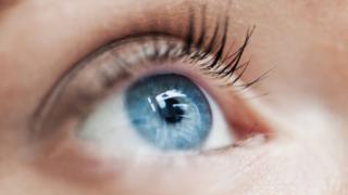 Close-up of the human eye.