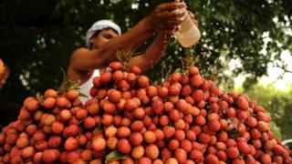 lychee seller in allahabad