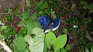 Blue trainer in hedge