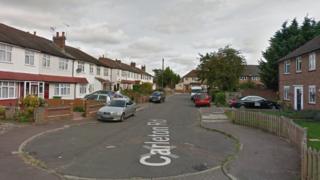 carlton road cheshunt