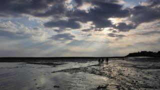 The Severn estuary seen from Goldcliff, which overlooks the free fishery