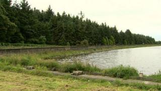 Woodburn Forest, near Carrickfergus, is one of the forests covered by the consultation