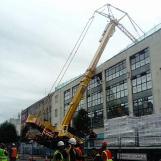 Crane