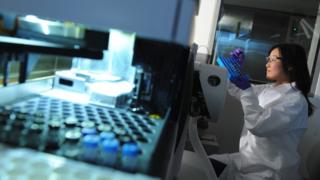 MSD laboratory