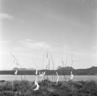 Landscape of the island