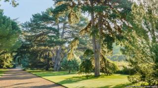 Cambridge University Botanic Garden