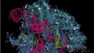 CRISPR