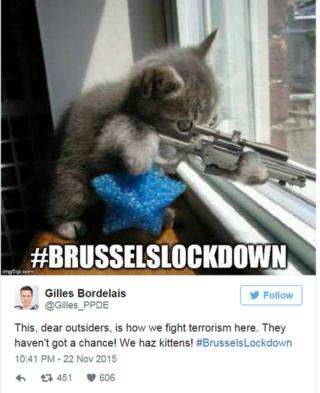 Gilles Bordelais teets: This, dear outsiders, is how we fight terrorism here. They haven't got a chance! We haz kittens! #BrusselsLockdown