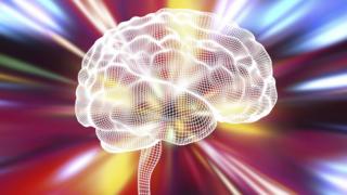 brain