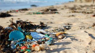 Beach clean-up