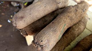 Yam