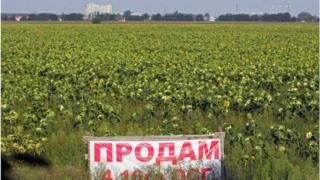 земля на продаж