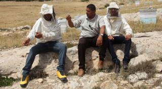The first three beekeepers to take part in TuniBee. From left, Mohamed Jouini, Abdelfatteh Sayari, and Khairi Kharroubi