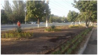 Toshkent