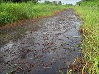 Niger Delta