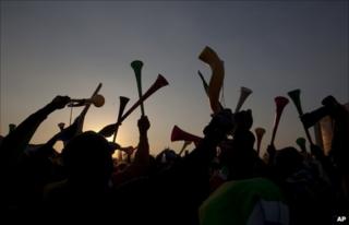 South Africa supporters watching their side's match against France celebrate in Soweto - 22 June 2010