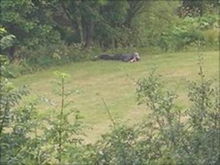 Raoul Moat lying a field during a stand-off with police (Pic: Steven Neailey)