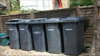Row of rubbish bins