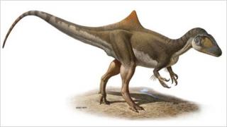 Artist's impression (Ortega/Sanz)