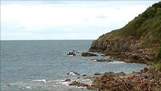 Shoalstone