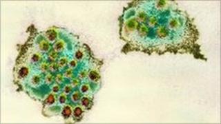 Norovirus