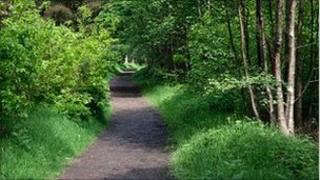 Greno Woods - courtesy of Paul Hobsonsmall