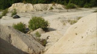 Nearcliff Quarry
