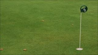 Golf green (Library)