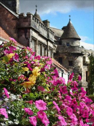 falkland palace in bloom