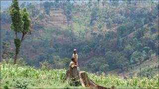 Children in the Mau settlement known as "Sierra Leone" stand before forest land which has been cleared for cultivation (photo by L Fredericks)