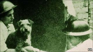 a dog being rescued from a bombed building in London by Blue Cross charity workers during the Blitz. Photo: Blue Cross