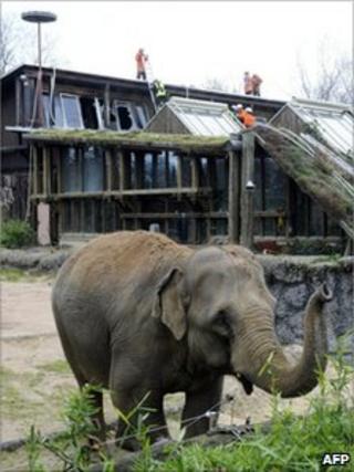 Members of the fire brigade at the Karlsruhe zoo, 13 November 2010